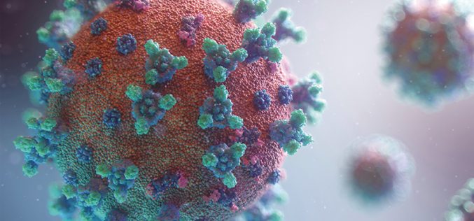 Cash to isolate `would have cut Covid deaths’