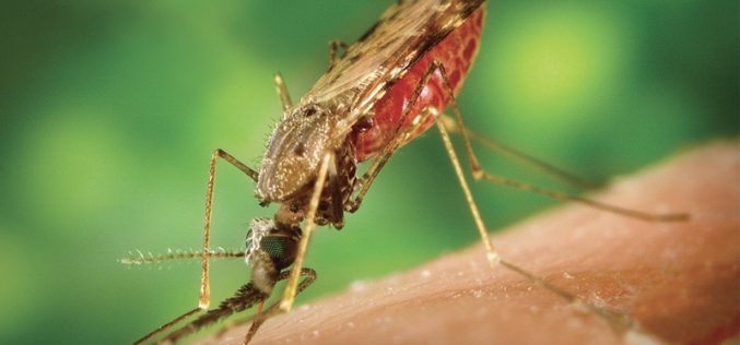 First malaria treatment<br>for babies approved for use